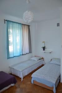 Hostel Tolek