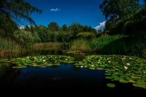 Idilliska Latgaliešu lauku māja ar melno pirti - Areņdole