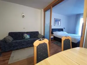 Apartment Brinovec - 斯楚雅