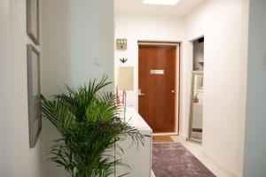 Suite Apartment City Borealis near center, Free Onsite Parking, WiFi
