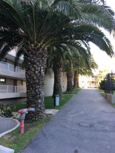 Vista Panoramica San Alfonso del Mar