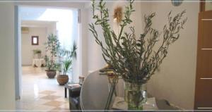 Theoxenia Boutique Hotel Santorini Greece