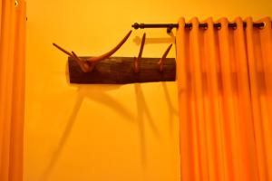 The Elephant Next-Door