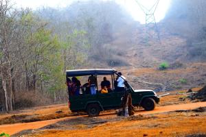 Kabini Lake View Resort