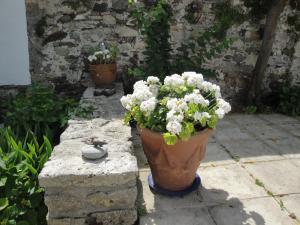 B&B / Chambres d'hotes Le Buzet Bleu Bed & Breakfast : photos des chambres