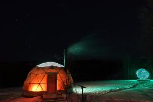 Wild Caribou Dome