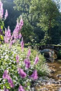 B&B / Chambres d'hotes Domaine et chambres d'Hotes des Fees : photos des chambres