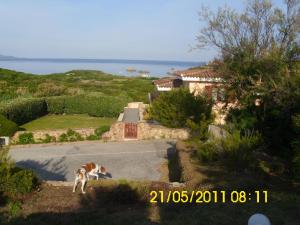 ZIRICHELTULA Villa PANORAMICA con ARIA CONDIZIONATA