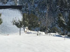 Chalet in the Forest Achaia Greece