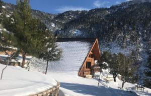 Chalet in the Forest Achaia Greece