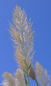 Appartamento Guitgia