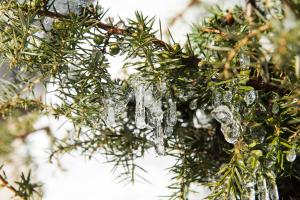 Biobauernhof Obereck