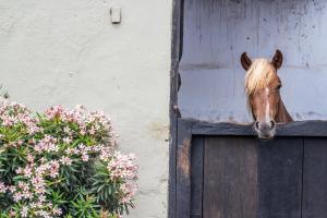 Monteverde Boutique Hotel