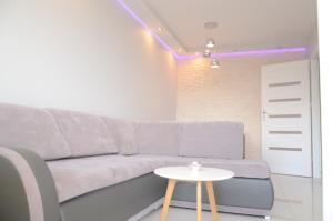 MULTI Apartment Łąkowa 7
