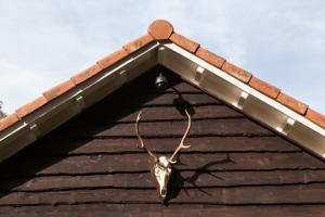 Landgoed Dennenholt - 5 unique holiday homes