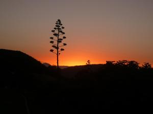 Casa Cueva El Molino By Artenatur