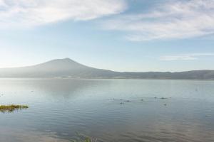 Casa Palomas Bed and Breakfast