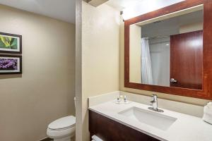 Queen Suite with Two Queen Beds - Non-Smoking room in Comfort Suites Airport Alcoa