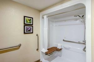 King Suite with Roll-In Shower - Accessible/Non-Smoking room in Comfort Suites Airport Alcoa