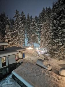 Saint George Borovets Hotel