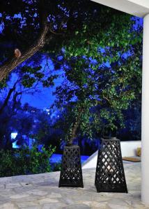 Villa Ftelia Skiathos Greece