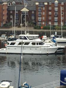 SWANSEA BAY, MARINA & ARENA VIEW Mins to BEACH & CITY