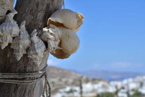 Alice in Wonderland Milos Greece