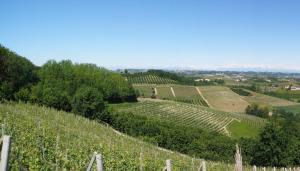 Agriturismo Monbertola