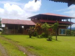 Twisted Wood House, Rio Celeste