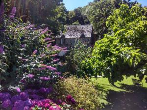 Maisons de vacances Moulin a Ble : photos des chambres