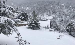 Chalet in the Forest Achaia Greece