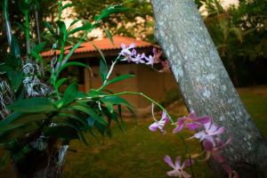 Selnara Private Luxury Villa and Ayurveda Spa