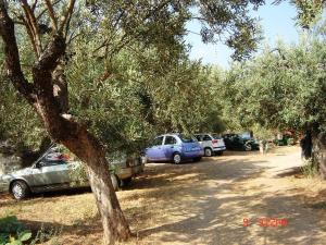 Tsakonia Hotel Arkadia Greece