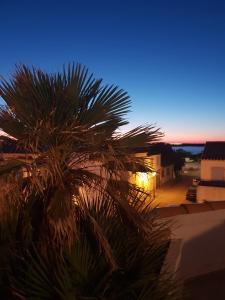 Hotels Hotel Les Palmiers En Camargue : photos des chambres