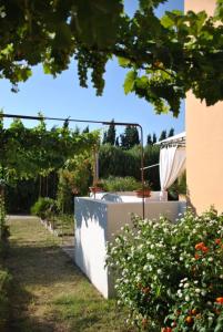 Residenza agrituristica Santa Lucia con piscina img24