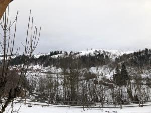 ГУЦУЛЬСЬКА ХАТА