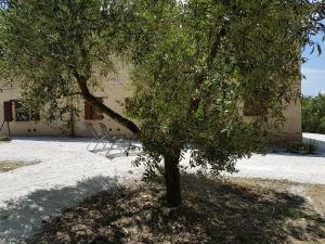 Ferienhaus Casale nella campagna marchigiana Santa Maria Nuova Italien