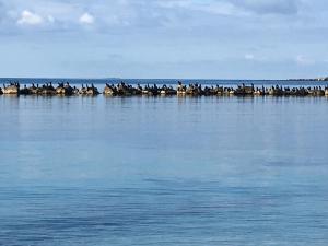 Il Mare di Alida img85