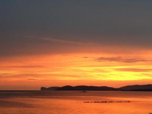 Il Mare di Alida img59