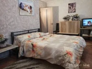 Apartment on Sobornaya 58 - 萨塔尼夫