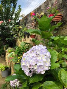 Casa anexa com lareira