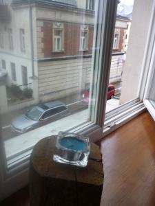 Magical Apartment in heart of KRK