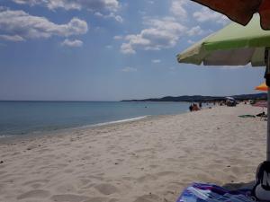 Sunflower house img33