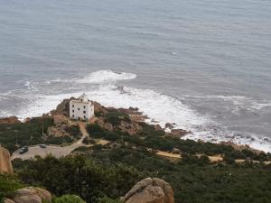 Sunflower house img30