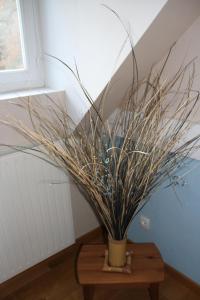 Les Rives de lAndelle