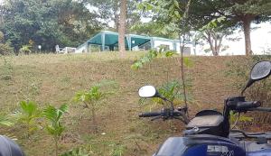 Plantation View Camping