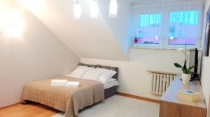 Apartament 24