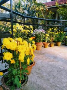 Chaiti Eco Homestay- Santiniketan Bolpur