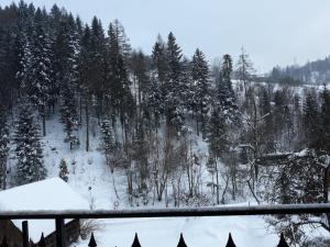 Kwatery prywatne Agnieszka i Paweł Kuźlak