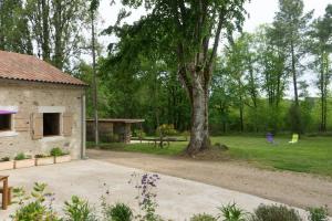 Maisons de vacances Gite de la Petite Burnie : photos des chambres